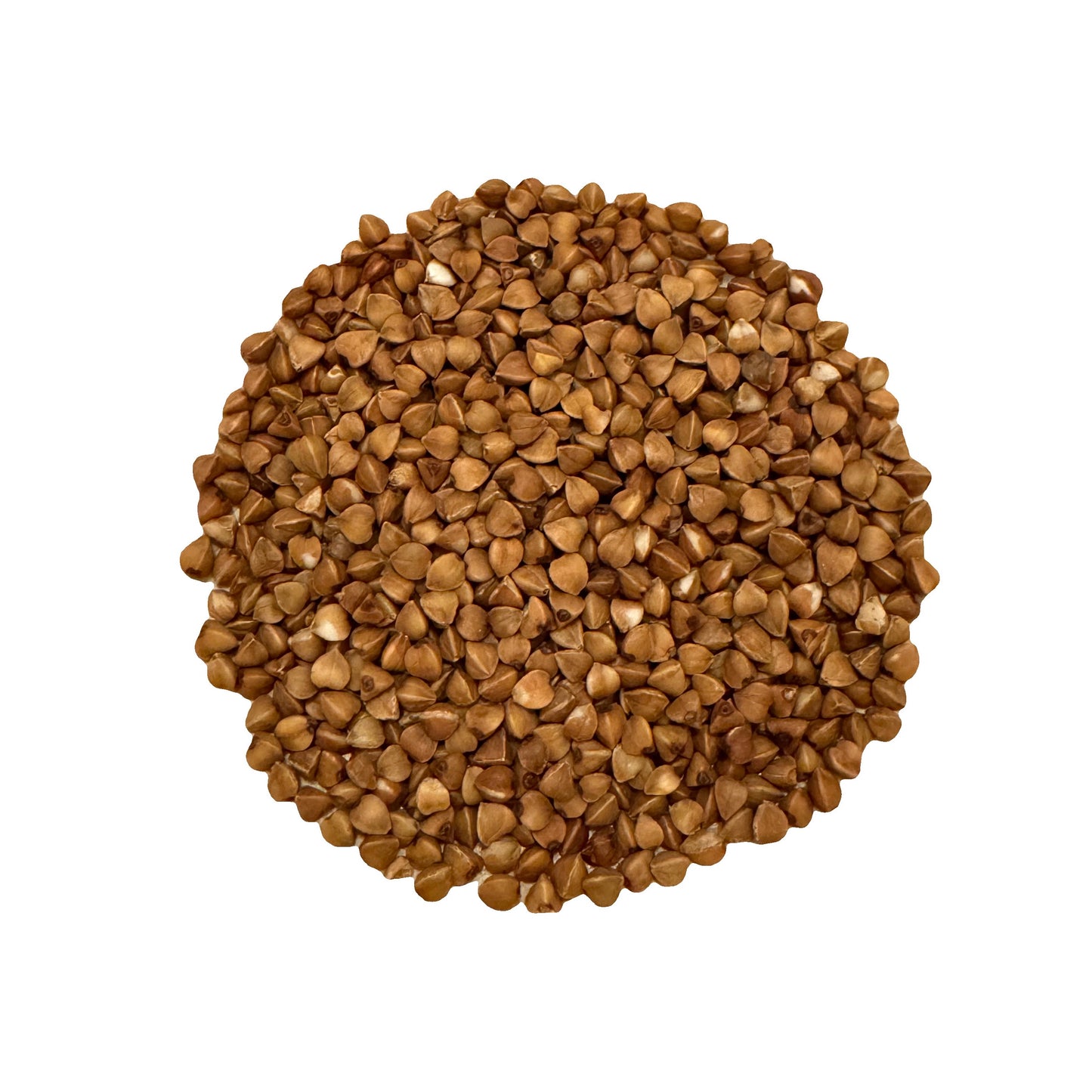 Sobacha Bio