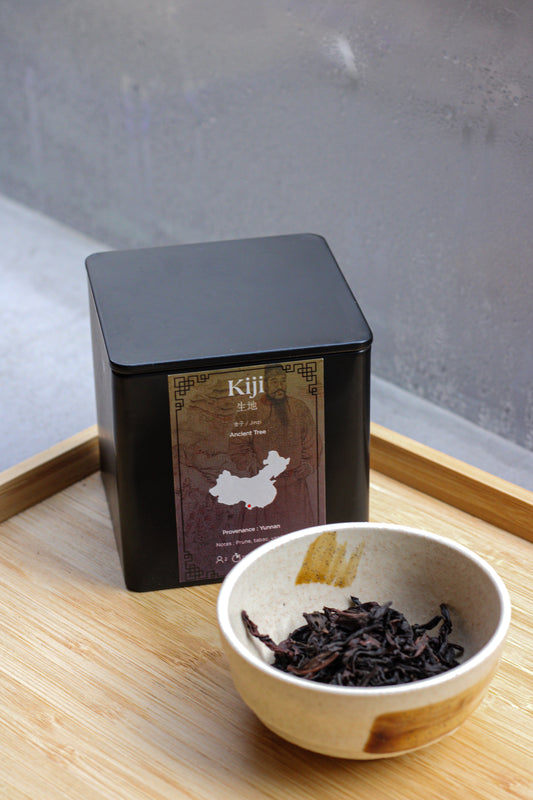 Ancient Tree - Jinzi - 金子 - 90g